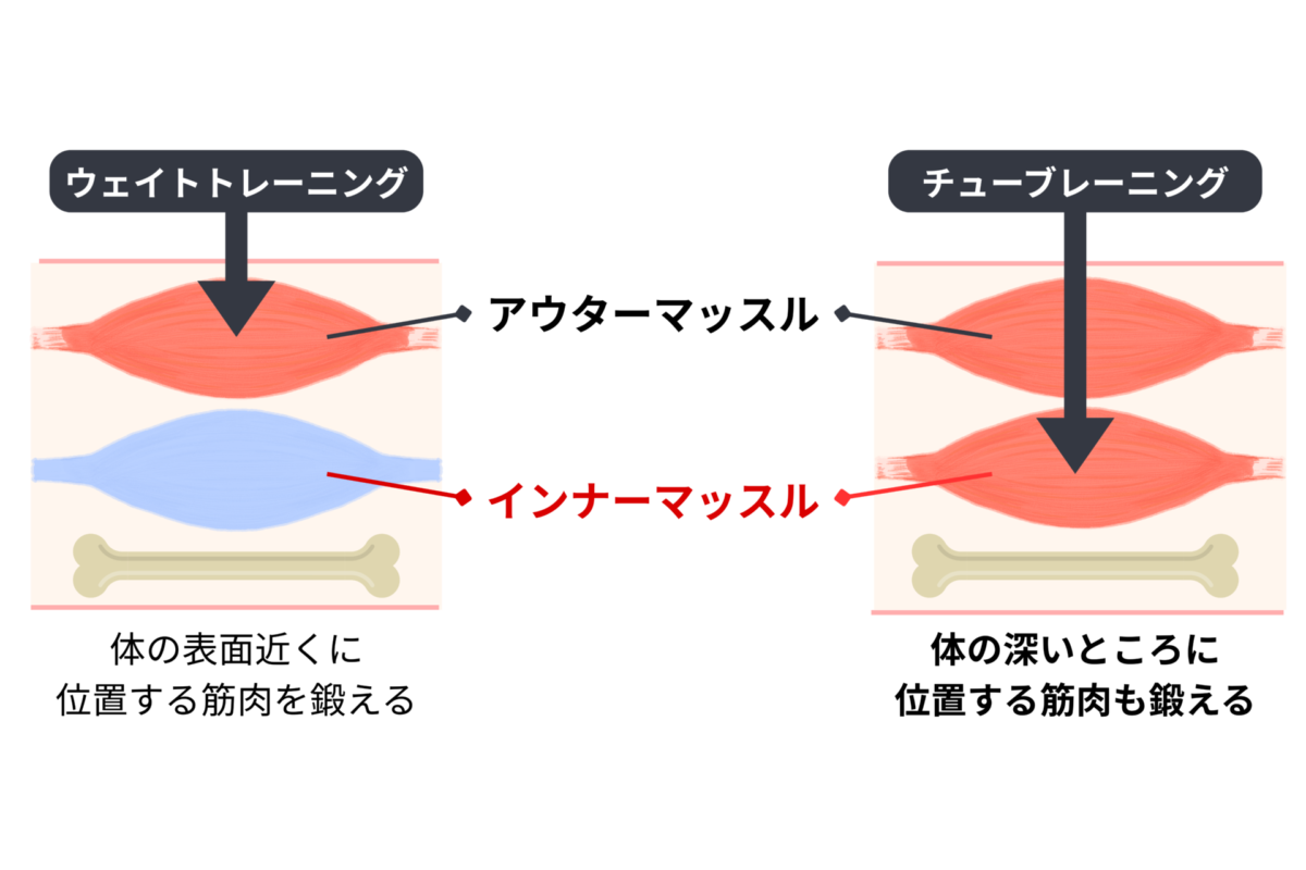 ウェイトトレーニングとチューブトレーニングの鍛え方の違い
