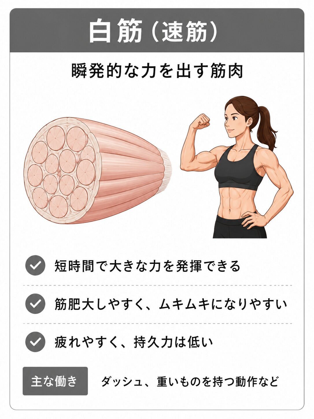 北九州・小倉のチューブ専門パーソナルジム|鍛えて整えるRe:TubeGYM 39 hakukin