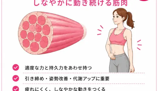 HOME 63 ピンク筋とは?しなやかに引き締まる筋肉の特徴と作り方