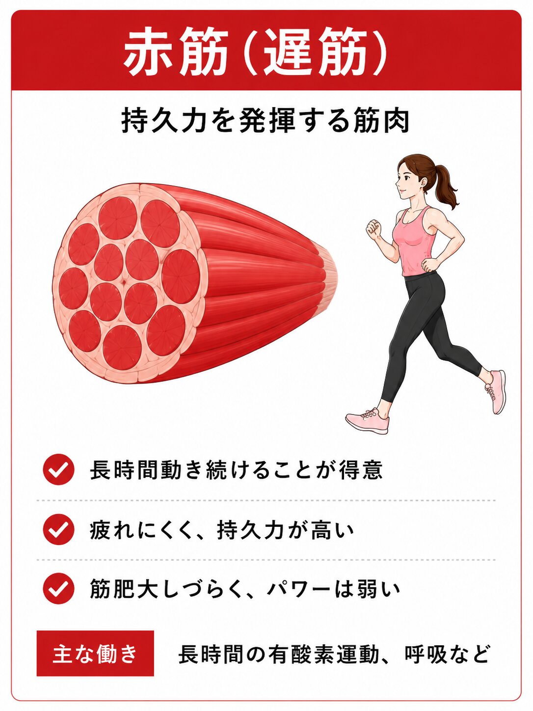 北九州・小倉のチューブ専門パーソナルジム|鍛えて整えるRe:TubeGYM 41 sekikin